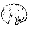 Хвостики
