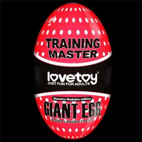Многоразовый Мастурбатор "Master Training Lovetoy EGG"