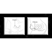 Виброяйцо универсальное "Coco"