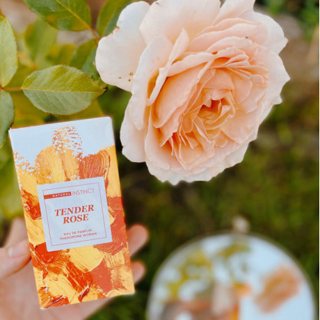 Женская Парфюмерная вода с феромонами "Tender Rose", 50 мл