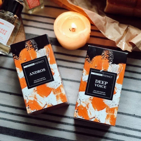 Мужская парфюмерная вода с феромонами "Andros", 100мл