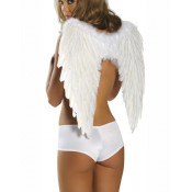 Ангельские крылья